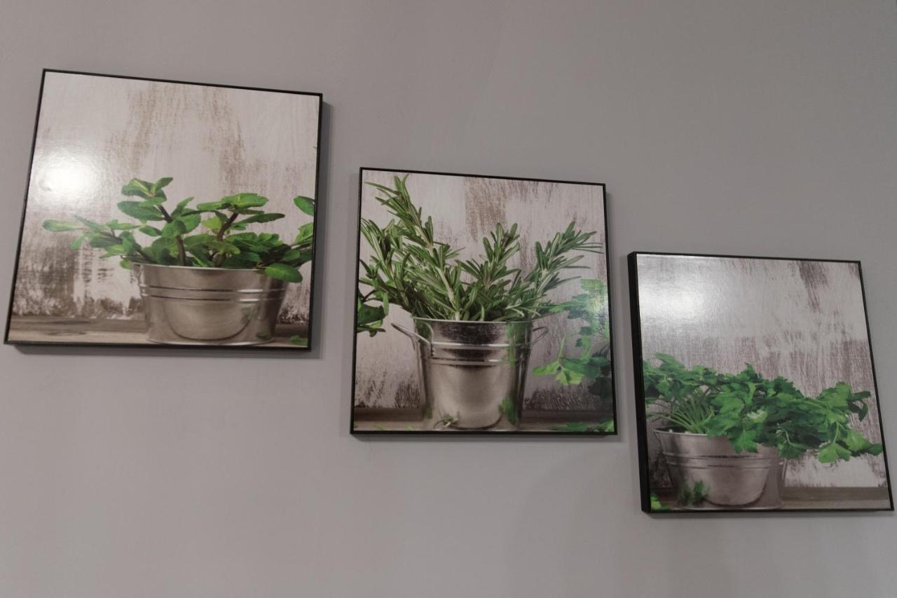 Apartament Marlenka 나이사 외부 사진